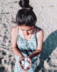 Shells collected at the beach!