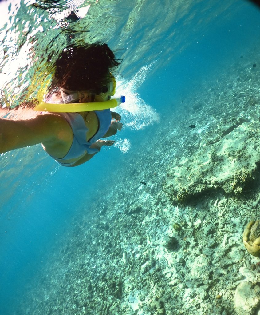 swimming in the blue ocean