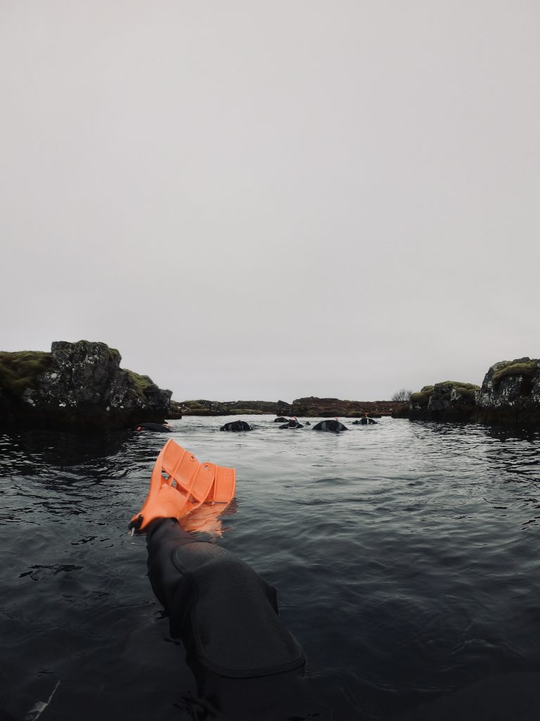 Snorkeling fins