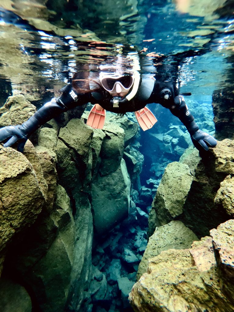 swim between the tectonic plates