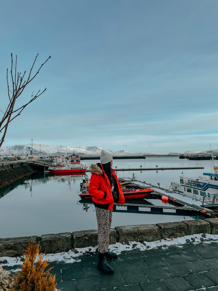 Reykjavik harbour